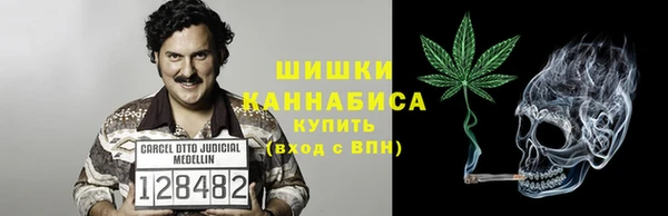 дурь Осташков