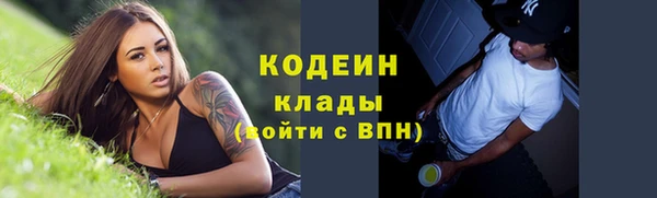 стафф Осинники