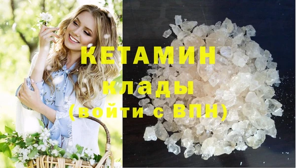 стафф Осинники