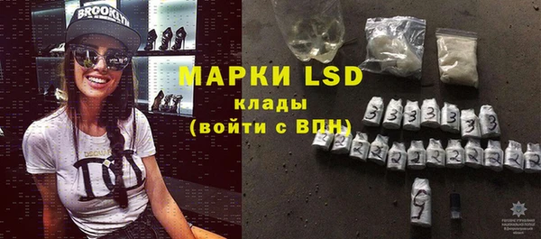 стафф Осинники