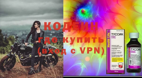 стафф Осинники