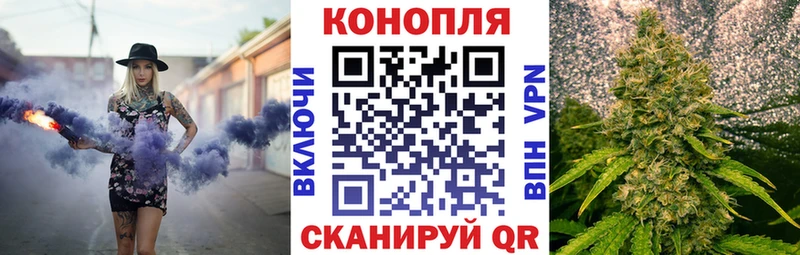 Бошки Шишки LSD WEED  hydra как зайти  Рудня  купить закладку 